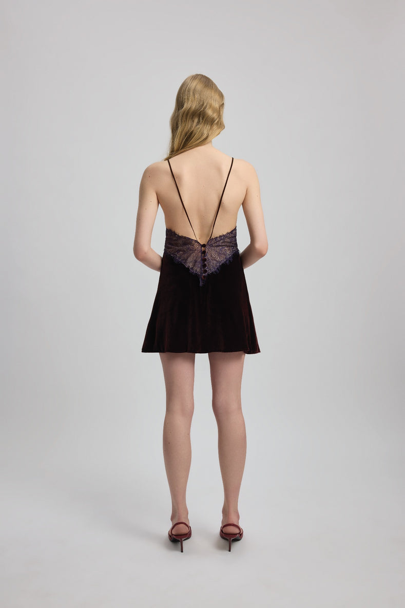 Lace Detailed Mini Dress