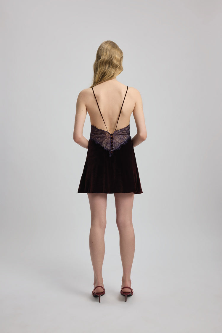 Lace Detailed Mini Dress